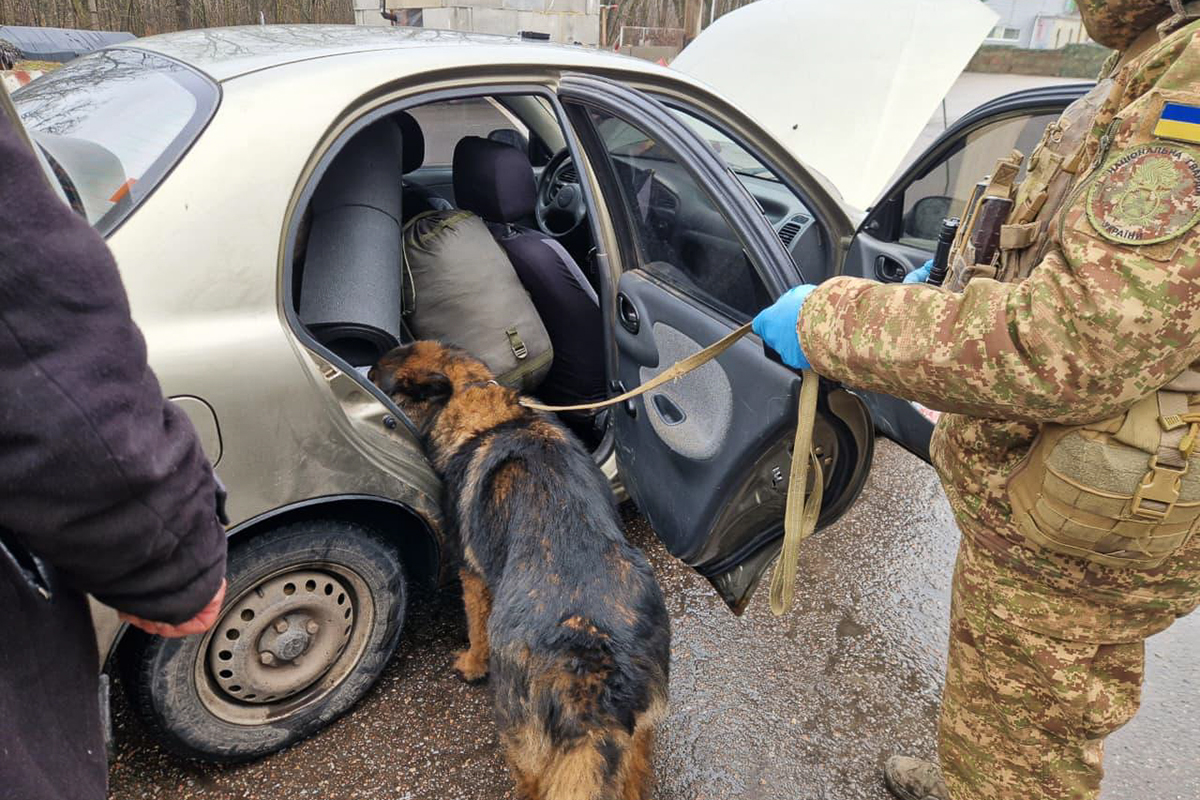 Рятують Харків від вибухівки службові собаки "Скіфів": Новини Харкова